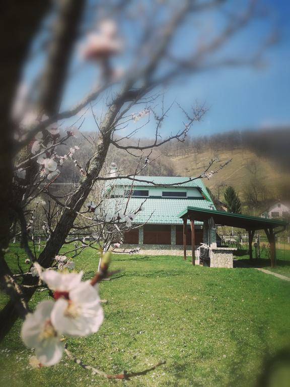 Mila Holiday Home Lohovo Bagian luar foto